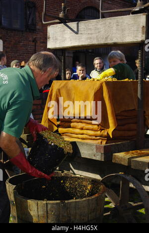 Apfelwein-Pressen-Demonstration, Stockfoto