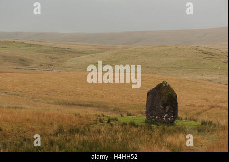 Ein stehender Stein, bekannt als Maen Llia auf Moorland in den Brecon Beacons National Park.  Heol Senni und Brecon, Powys, Wales. Stockfoto