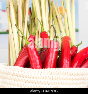 die Paprika in einem geflochtenen Korb Nahaufnahme Stockfoto