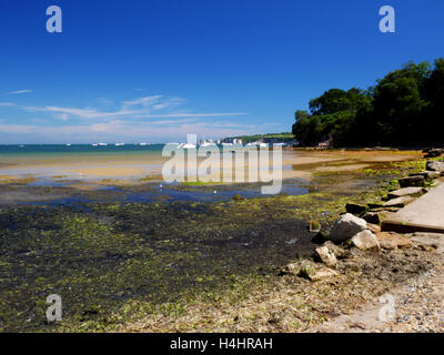 Old Harry Rocks gesehen von Studland Beach, Dorset. Stockfoto