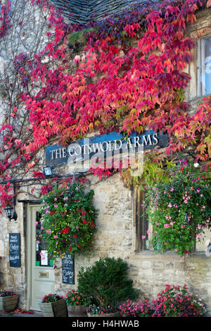 Parthenocissus Tricuspidata. Boston-Efeu / japanische Creeper im Herbst auf The Cotswolds Arms Pub, Burford, Oxfordshire, England Stockfoto