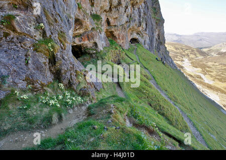 Knochen-Höhlen; Inchnadamph; Schottland; UK Stockfoto