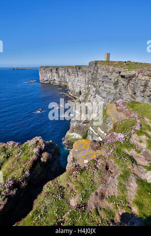 Marwick Head; Orkney; Schottland; UK Stockfoto