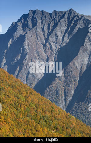 Beautiful scenery with autumn colors, high mountain, and beautiful forest in the foreground Stockfoto