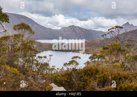 Wombat-Pool und Dove Lake in Cradle Mountain Nationalpark, Tasmanien, Australien Stockfoto