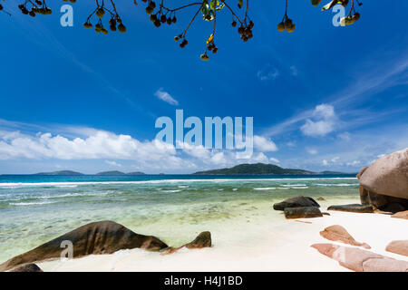 Anse Grosse Roche in La Digue, Seychellen mit klarem Wasser und Granit Felsen Stockfoto