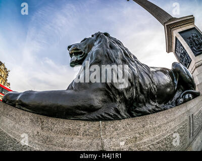 Löwe am Trafalgar Square auf einer Fischen genommen - Augenlinse Stockfoto