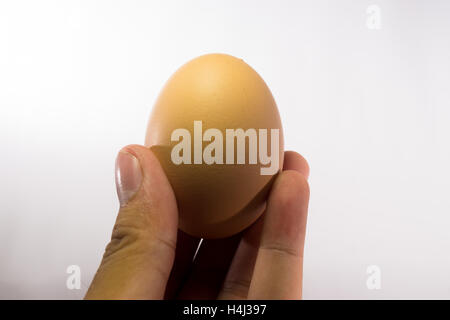 Hand, die gelbes Ei auf weißem Hintergrund Stockfoto