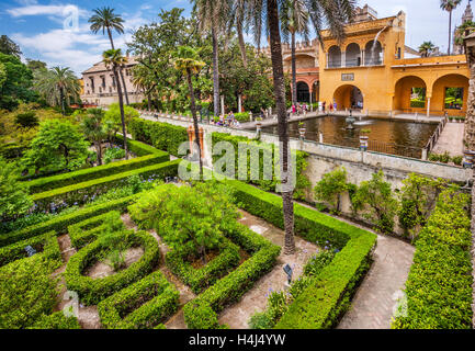 Spanien, Andalusien, Provinz Sevilla, Sevilla, die Gärten der Alcazar Palast Stockfoto