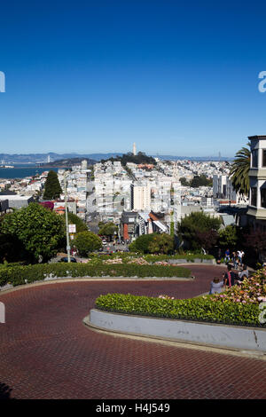 Blick vom Lombard Street auf Downtownn San Francisco, Kalifornien, USA. Stockfoto