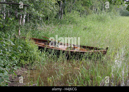 Kleines Boot vertäut im Schilf, Finnland Stockfoto