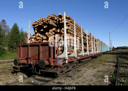 Holz im Eisenbahn-Güterwagen, Finnland Stockfoto