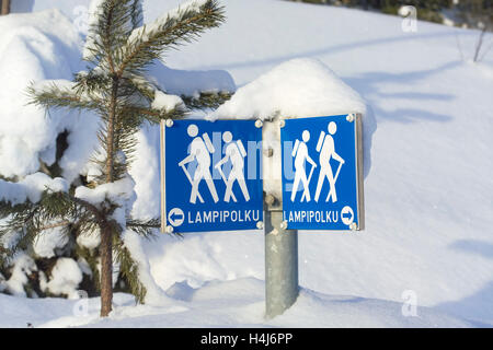 Natur Pfad Wandern route Marker, Vuokatti Sotkamo Finnland Stockfoto