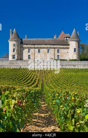 Chateau de Rully mit Weinberg von Antonin Rodet, Rully, Saone-et-Loire, Côte Chalonnaise, Frankreich. Stockfoto