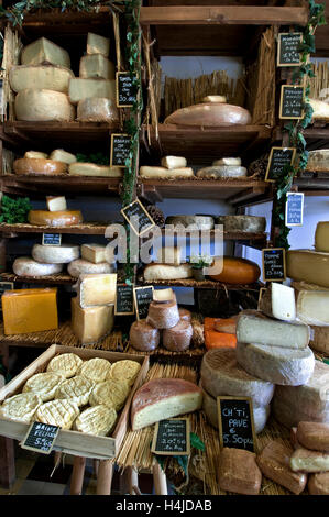 FROMAGERIE handgemachte Käse auf Anzeige in der Artisan fromagerie Käse Shop "Caseus "Montreuil-sur-Mer Frankreich Stockfoto