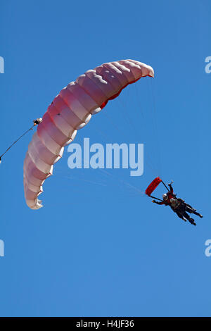 Tandem Parachuters, Queenstown, Otago, Südinsel, Neuseeland Stockfoto