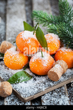 Frische Mandarinen mit Blättern auf einer Schnee bedeckten Tisch mit einem Zweig der Fichte Stockfoto