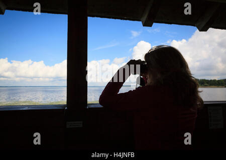 Blick aus einer Vogelbeobachtung Vogelbeobachter ausblenden über Chiemsee. Oberbayern. Deutschland. Stockfoto