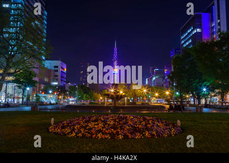 Der schöne Odori Park mit Fernsehturm bei Nacht, Sapporo, Japan Stockfoto