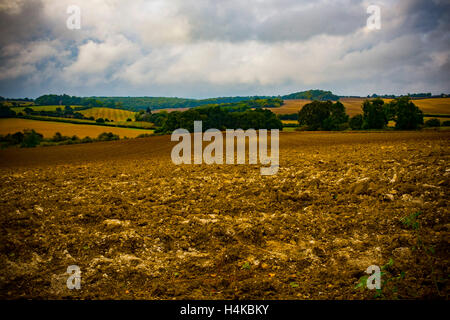 Eine Landschaft-Schuss von Hertfordshire Stockfoto