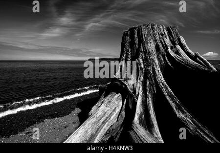 Hafen Macneill Beach. Vancouver Island. Britisch-Kolumbien. Kanada Stockfoto