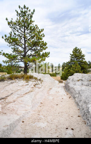 Oregon Trail Furchen State Historic Site Stockfoto
