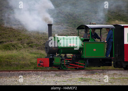 Schmalspur-Dampfzug am Leadhills Dampf-Tag Stockfoto