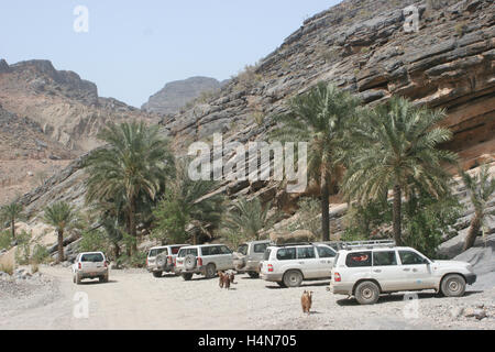 Touristenfahrzeuge im Geländewagen, die in einer Schlucht im Zentrum von Oman auf dem Weg nach Nizwa geparkt sind. Wilde Ziegen schlendern zwischen den Palmen Stockfoto