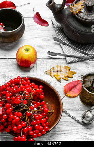 Stilvolle Steingut Teekanne mit Tee aus Heilpflanzen Herbst Beeren Tee mit Schneeball Stockfoto