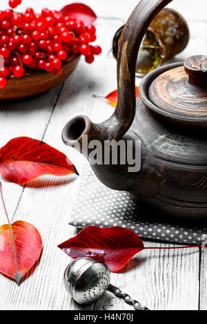 Stilvolle Steingut Teekanne mit Tee aus Heilpflanzen Herbst Beeren Tee mit Schneeball Stockfoto