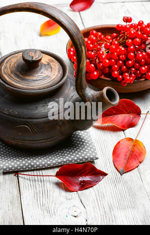 Stilvolle Steingut Teekanne mit Tee aus Heilpflanzen Herbst Beeren Tee mit Schneeball Stockfoto