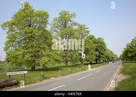 Wimbledon Common, Süd-London. Zeigt Southside Common, neben eine große Rasenfläche am südlichen Ende des gemeinsamen Stockfoto