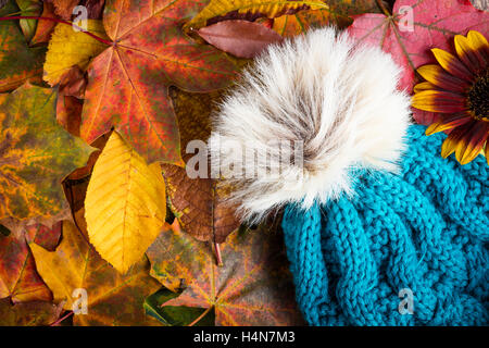 fallen Sie Herbst Beanie Mütze Hut Kälte verlässt Schlechtwetter Stockfoto