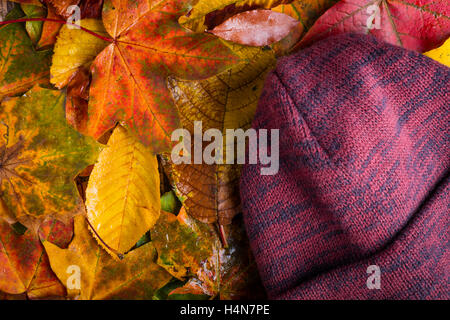 fallen Sie Herbst Beanie Mütze Hut Kälte verlässt Schlechtwetter Stockfoto