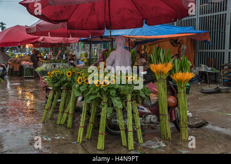 Quang Ba Blumenmarkt im Regen, Hanoi, Vietnam Stockfoto