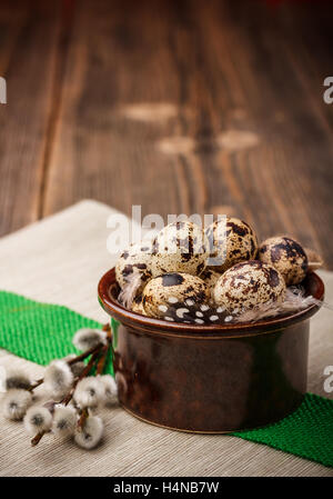 Ostern-Stillleben von Wachteleiern und Weidenruten Stockfoto