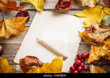 Herbstlaub auf dem alten Papierblatt Stockfoto