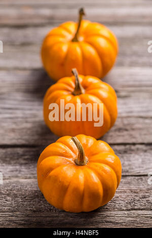 Drei Mini-Kürbisse in Reihe angeordnet Stockfoto