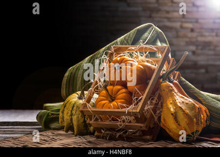 Stillleben mit ornamentalen Kürbisse in Kiste Stockfoto