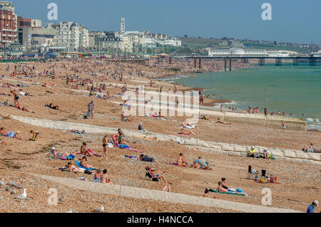 Die Aussicht, Blick nach Osten von Hove in Richtung Brighton an einem sonnigen Sommertag Stockfoto