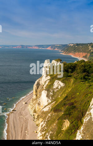 Die riesigen Erdrutsches an Hooken Cliff in der Nähe von Bier Kopf auf den Jurassic Küste von South Devon, England, UK Stockfoto