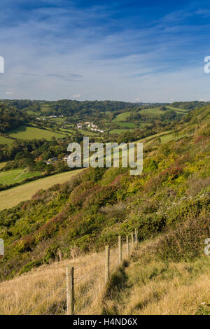 Branscombe Dorf liegt in einem bewaldeten Tal oder Combe vor an der Jurassic Küste von South Devon, England, UK Stockfoto