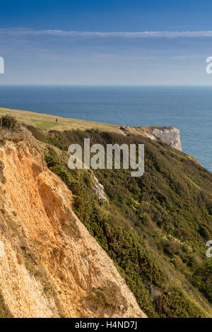 Die riesigen Erdrutsches an Hooken Cliff in der Nähe von Bier Kopf auf den Jurassic Küste von South Devon, England, UK Stockfoto