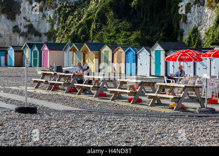 Strandhütten unterhalb der Kreidefelsen bei Bier auf den Jurassic Küste von South Devon, England, UK Stockfoto