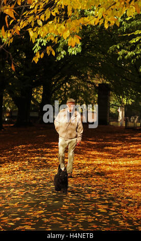 Ein Mann geht seinen Hund durch den abgefallenen Blättern in Clarkes Gardens in Allerton, Liverpool, Merseyside. Stockfoto