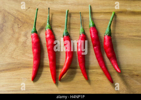 Chili Peppers Stockfoto