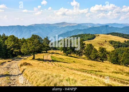 kurvenreiche Straße durch große Wiesen am Hang der Karpaten Gebirge Stockfoto