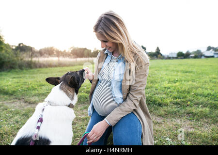 Nicht erkennbare schwangere Frau mit Hund im sonnigen grün Stockfoto