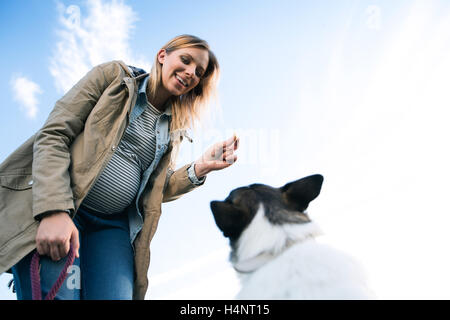 Nicht erkennbare schwangere Frau mit Hund im sonnigen grün Stockfoto