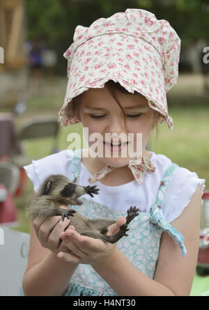 Nördlichen Waschbär (Procyon Lotor), junges Mädchen hält Baby Waschbär, Texas, USA Stockfoto